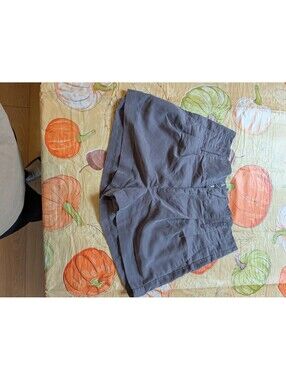 American Eagle Gray Soft Shorts – Size 2